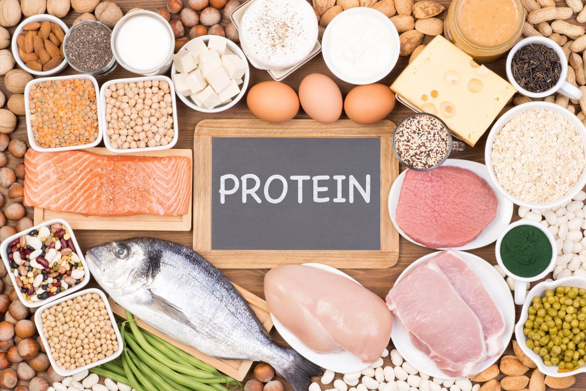 A visual representation highlighting the significance of protein as a vital component of a balanced diet.