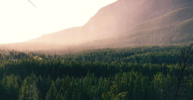 Tirzepatide Compounded: New Weight Management Approach image